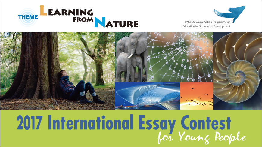 Essay contest 2014 international